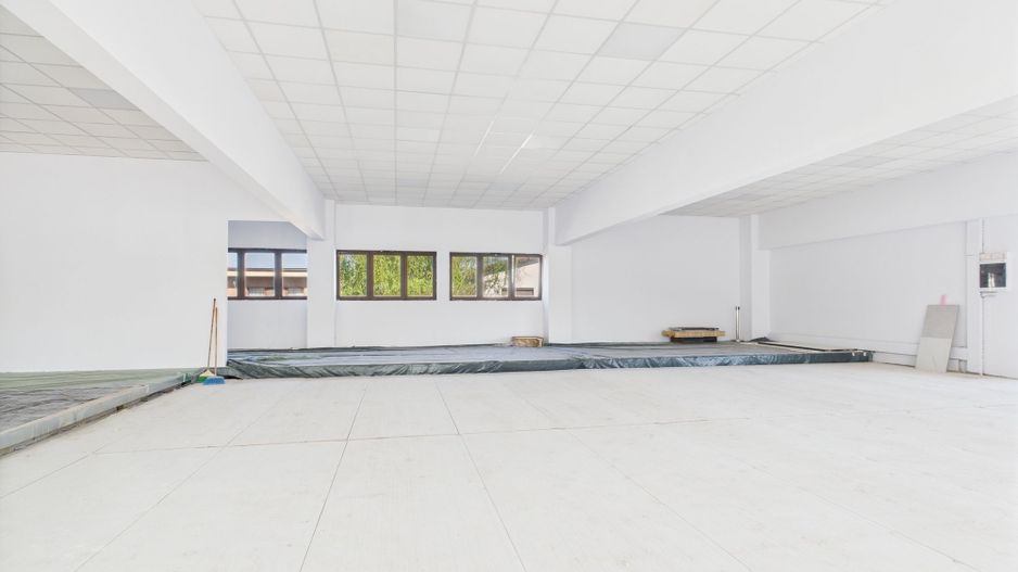 Spații Comerciale între 70 și 350 mp în Dumbrăvița - Poză 8