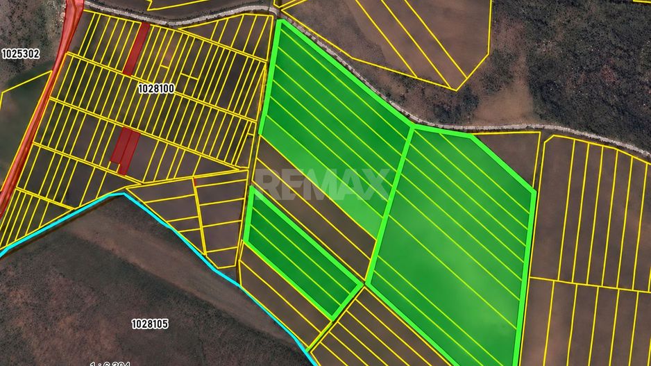 LIVADĂ DE NUCI – 24,5 HA | ȚÎNȚĂRENI, ANENII NOI - Poză 12