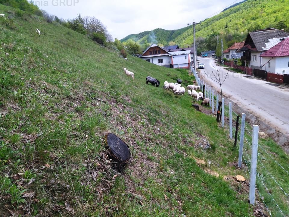 NAMAESTI - Valea Mare Pravat, 7000 mp. teren intravilan, ideal locuinta - Poză 7