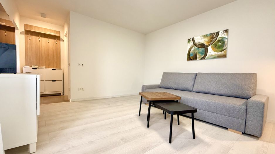 Apartament cu 1 cameră în zona centrală - Piața Unirii-Parcul Botanic - Poză 2