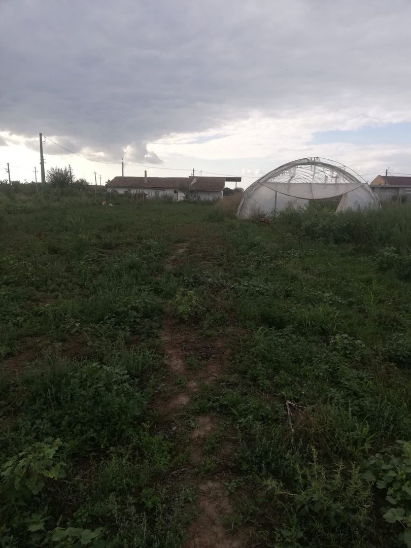 Ferma de vânzare - Poză 9