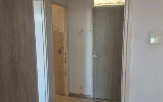 APARTAMENT METROU ZONA TINERETULUI - Poză 9