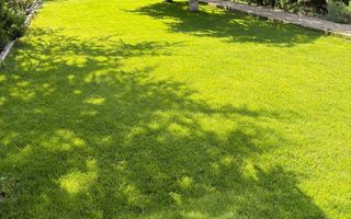 Casa Individuala cu 4 camere si 450 mp de curte, in Valea Aurie - Poză 13