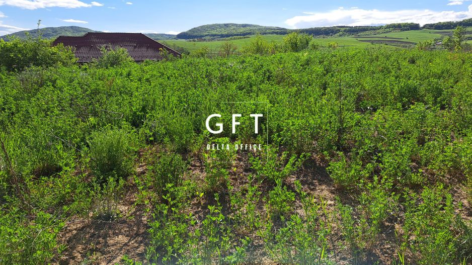 Teren intravilan parcelabil, zona Sigmir - Poză 3