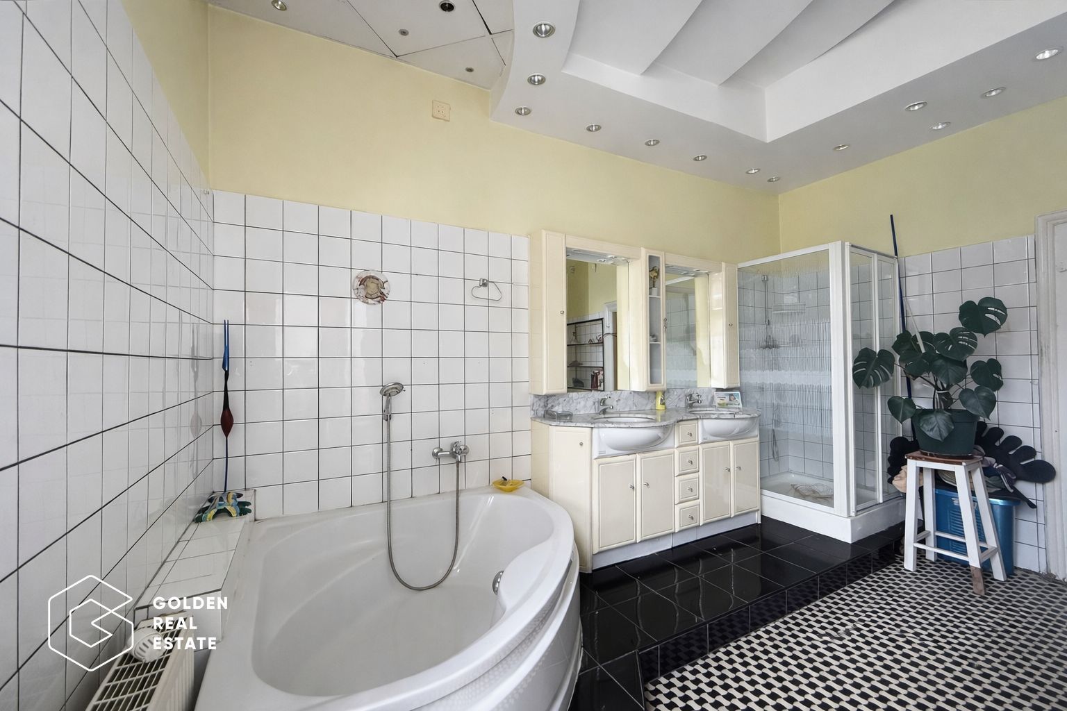 Vila individuala, 12 camere, teren 938 mp, cu piscina, zona Maria-Balcescu - Poză 8