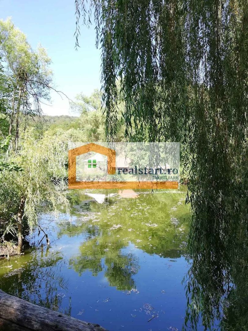 Ideal Evenimente Private, restaurant, pensiune, 1,8ha teren, padure - Poză 10