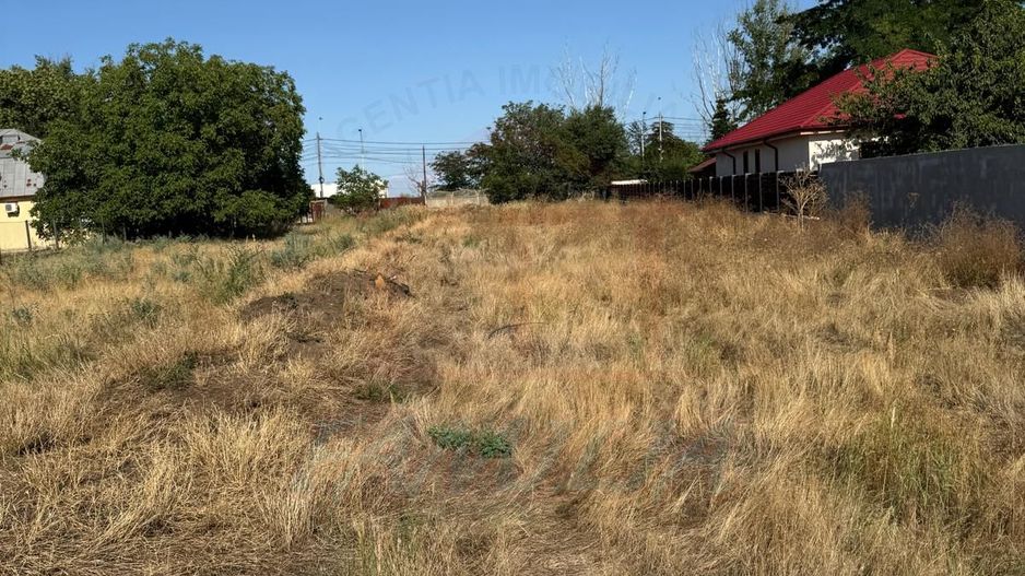 100Euro/mp TEREN intravilan, zona Arcasilor - Poză 6