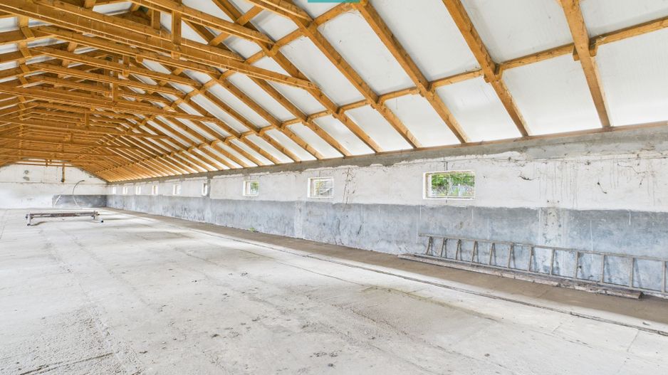 Hală pentru producție / fermă zootehnică  - Variaș - Poză 12