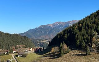 Teren Fundatica intravilan 4500 mp - Poză 13