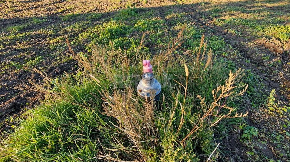 4,85 HA CU DESCHIDERE DE 300 M LA TRASEU | CRIULENI – SLOBOZIA-DUȘCA - Poză 8