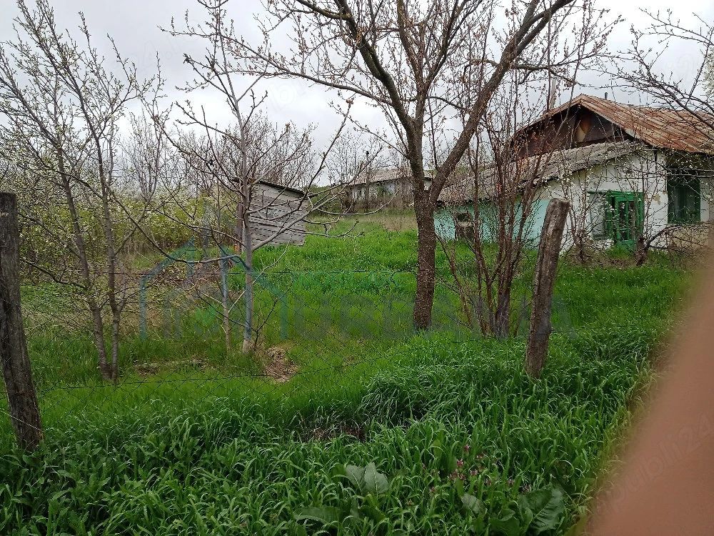 Casă și teren în Sat Cuza Vodă, comuna Popricani - Poză 3