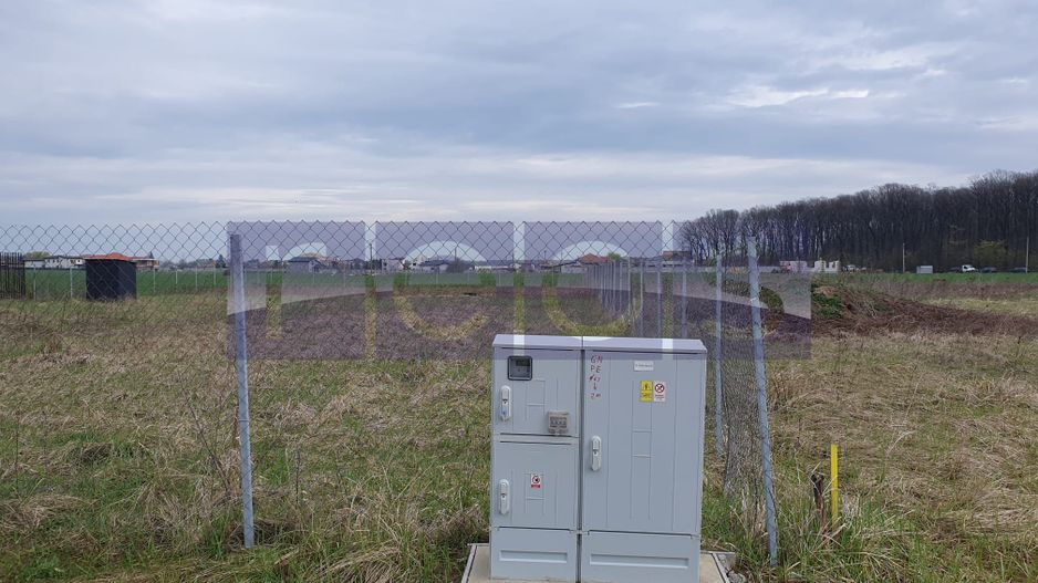 VANZARE TEREN 1500 MP| GHERMANESTI | PADUREA SNAGOV - Poză 6