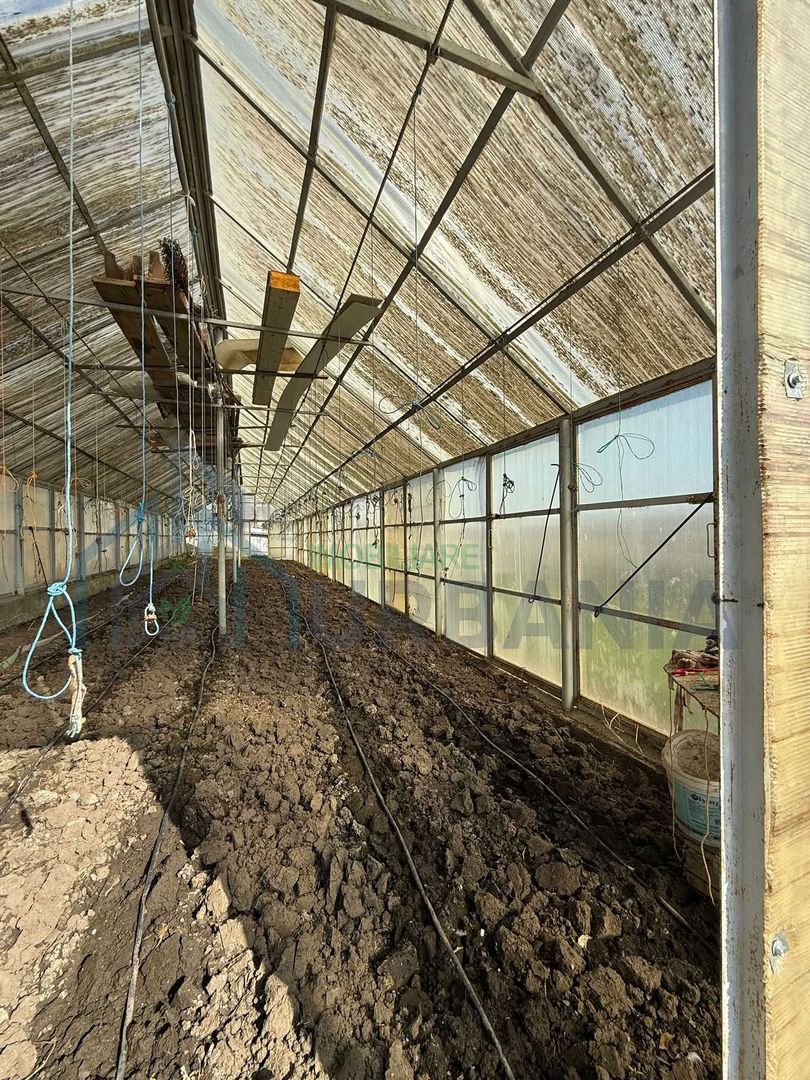 Teren de vânzare cu seră și vie în com. Belcești, jud. Iași - Poză 7