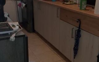 Apartament 2 camere/38 mp Brancoveanu parter - Poză 6