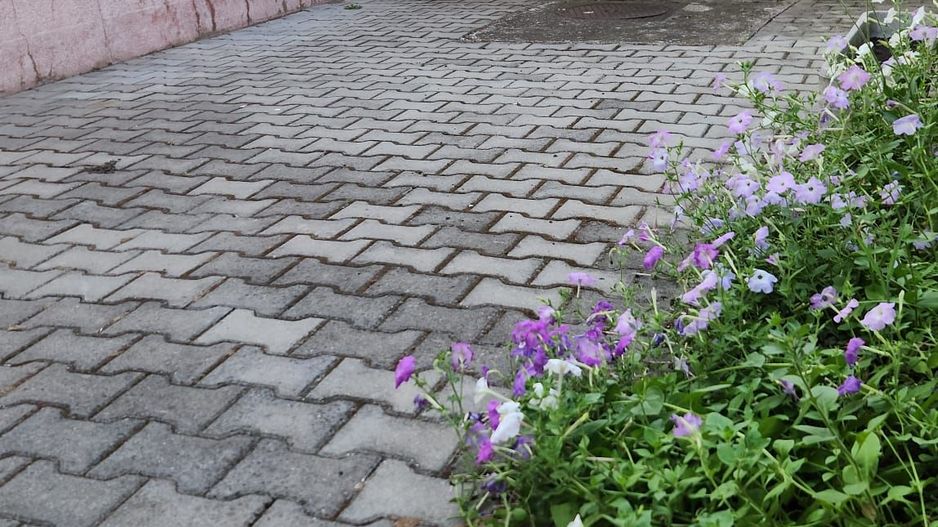 Casa zona Bogdanestilor Pozitie Unica Teren generos Comision 0 - Poză 14