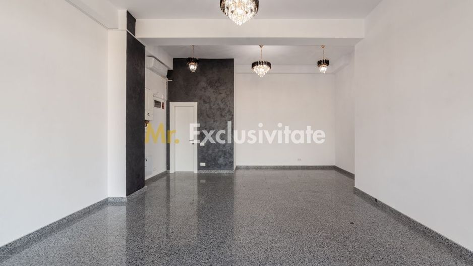 Spatiu comercial de inchiriat Fratii Golesti, Pitesti | VSC 5 - Poză 3