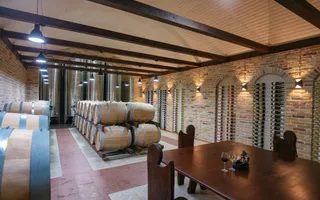 Complex Vitivinicol de Referință în Sudul Moldovei | 206 ha teren agricol | Investiție strategică - Poză 11