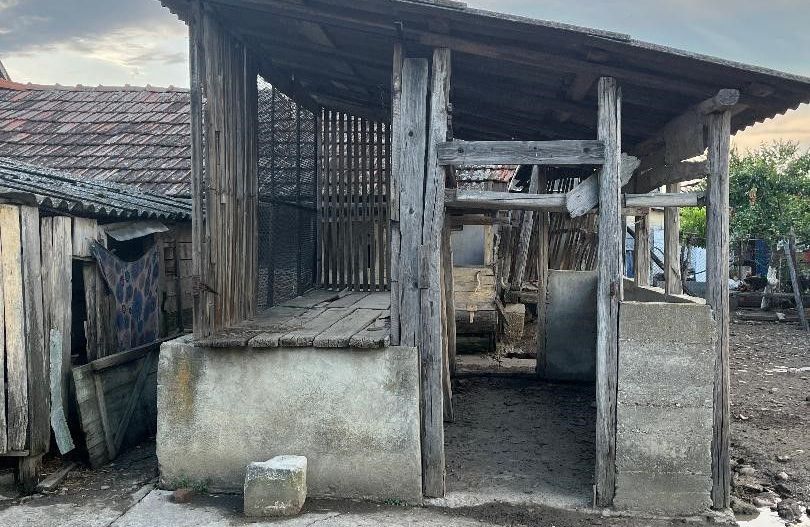 Casa în localitatea Ianosda - Poză 10