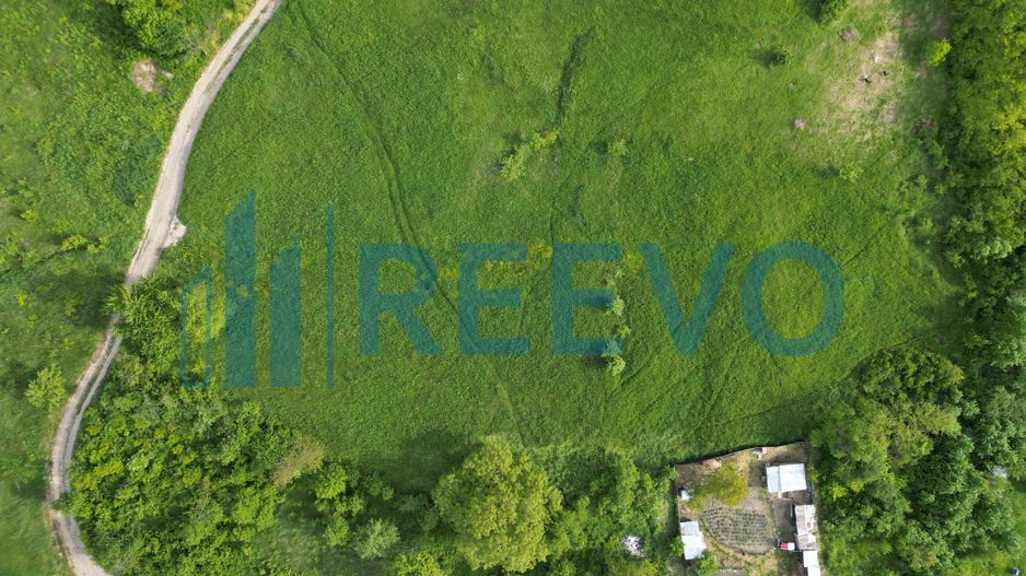 Teren de vânzare, Com. Racova, Str. Bradului, Bacău - Poză 7