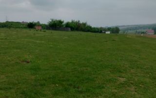 Teren intravilan 7.200 m2, Bordea, Grajduri, ideal case/ investitie - Poză 2