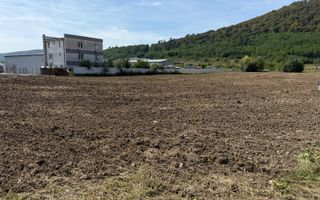 Teren Extravilan, 56 Ari Parcelabil, Viisoara - Poză 5