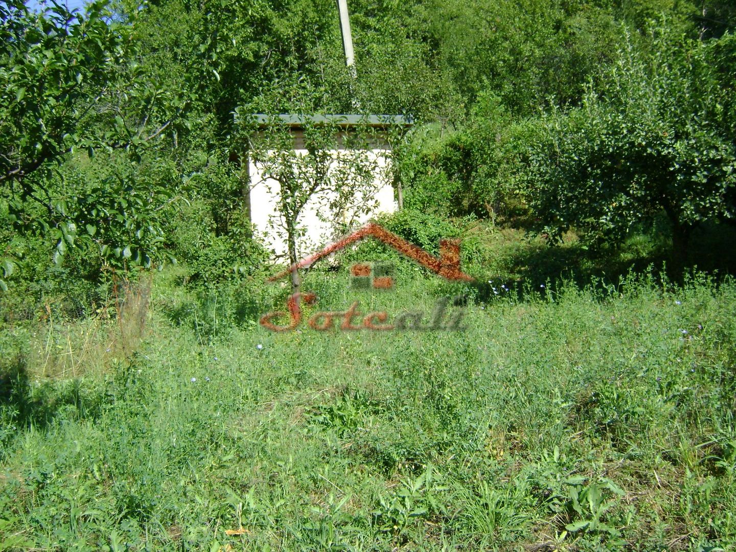 Teren de vânzare în Breaza– zonă liniștită, ideal pentru relaxare - Poză 16