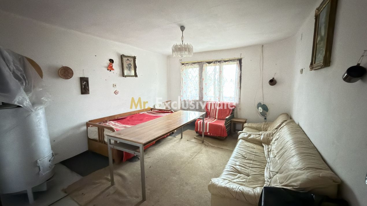 De vânzare 2 Case de vinificație cu Teren 4108 mp - Grădina Viilor - Carei - Poză 12