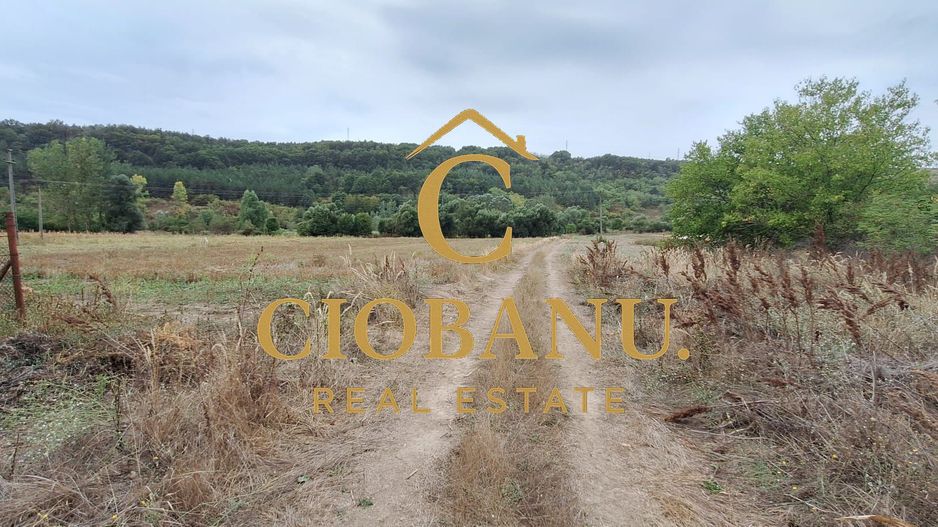 Teren Intravilan/Extravilan de vanzare in Bradestii Batrani - Poză 10