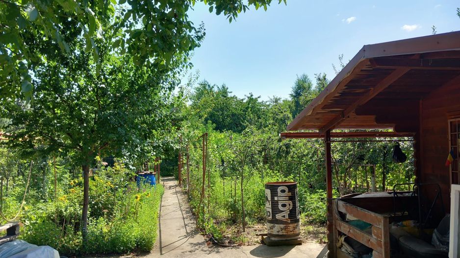 Ag EUROPA vinde teren BERCU ROSU toate utilitatile și casa vacanta. - Poză 2