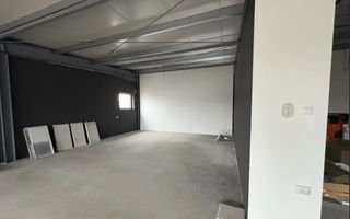 Hală industrială modernă, complet echipată – Parc Industrial Borș - Poză 18