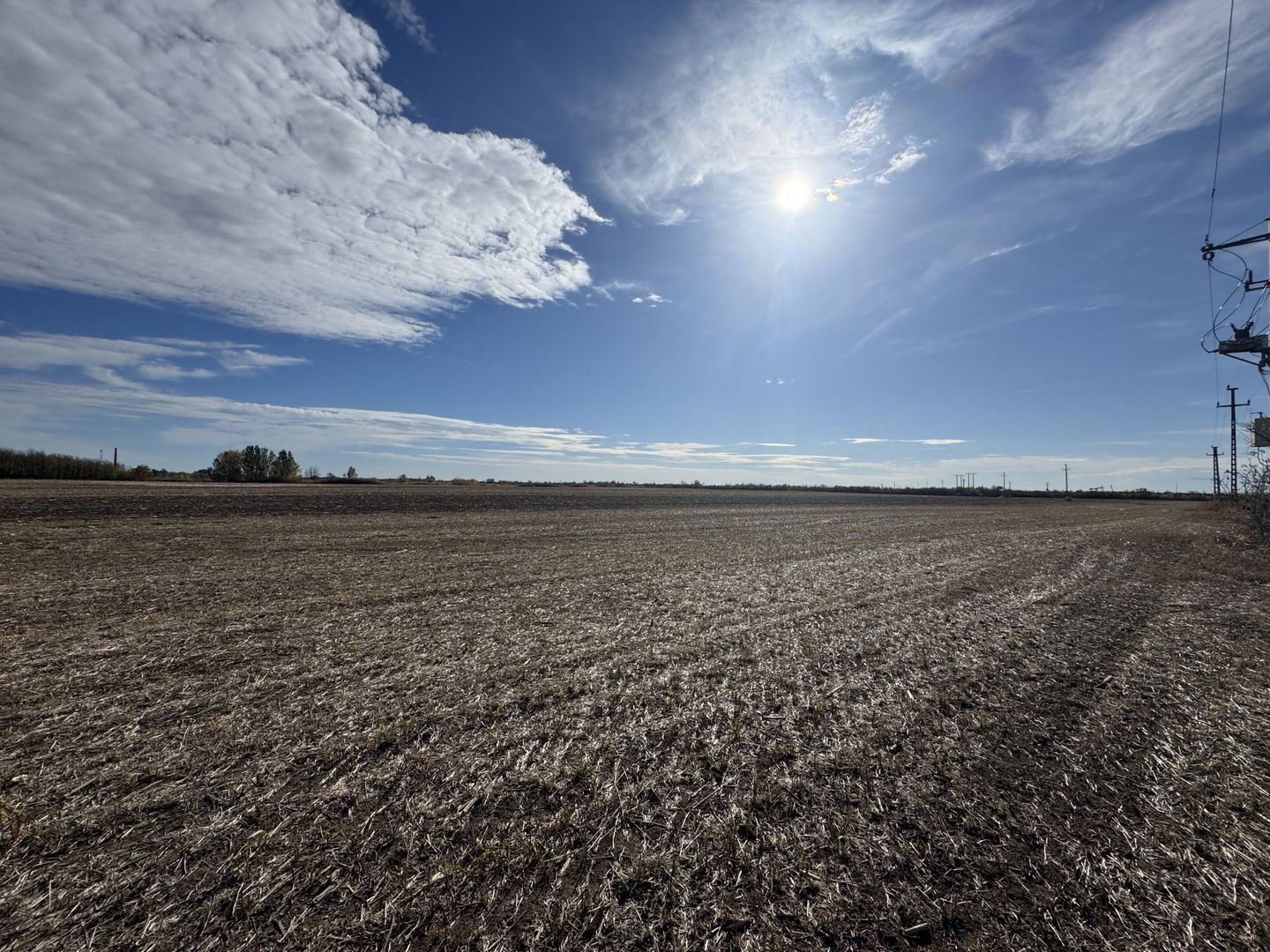 Vand Teren Extravilan Biled(zona industriala) 25.000mp,F.S la DN6 - Poză 2