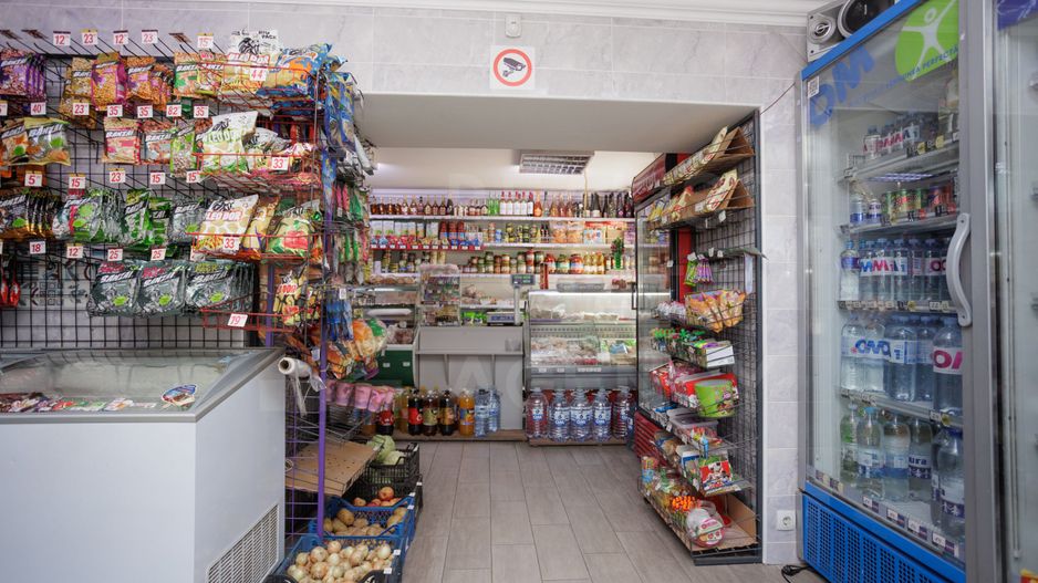 Vânzare, casă + afacere, str. Cetatea Albă, Botanica - Poză 33