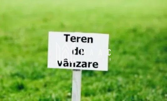 Teren 7000 mp I Intravilan I Cristian - Poză 3