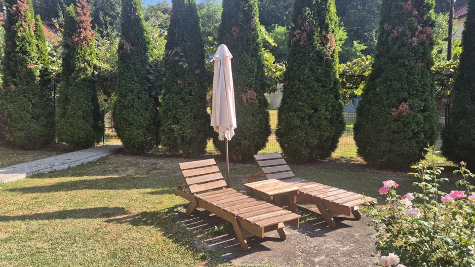 Vila 4 camere zona Lend - Poză 16