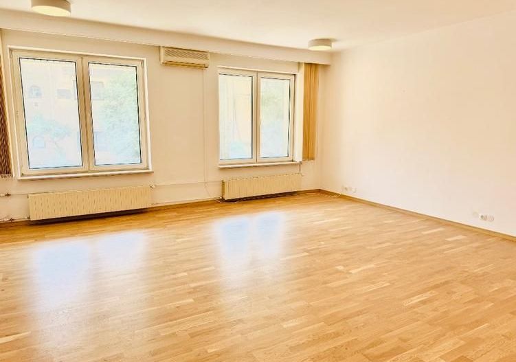 Hochparter generos de vanzare|  langa Parcul Herastrau - Poză 8