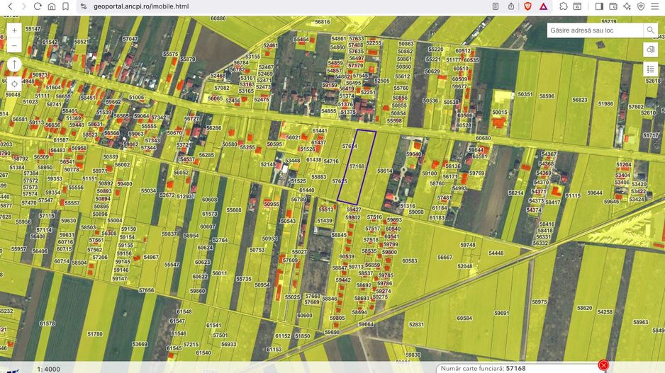 Teren intravilan construibil 7.500 mp Ciorogarla Ilfov - Poză 3