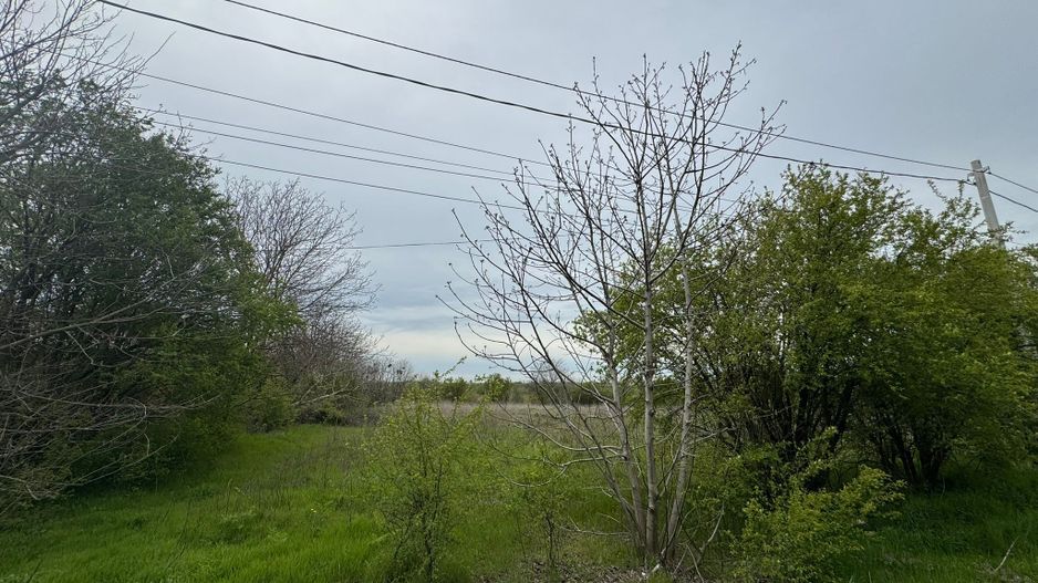 teren intravilan  sat Daia, județul Giurgiu,Dealul Florilor - Poză 1