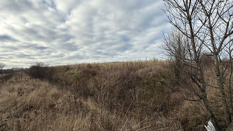 VAND TEREN 46 ARI | VOLOVAT | 47.000 EURO | - Poză 7