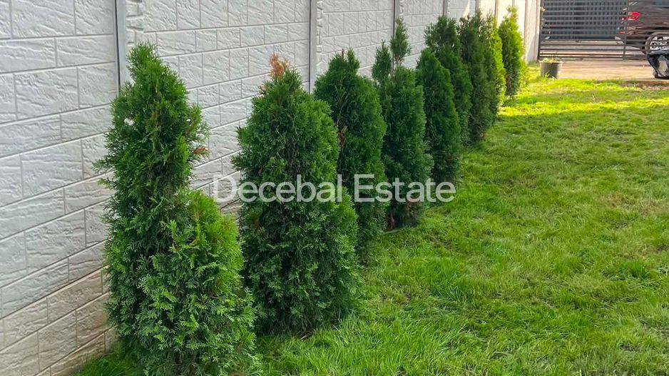CASĂ MODERNĂ DE VÂNZARE | VÂRTEJU – MĂGURELE | TEREN 300 MP - Poză 21
