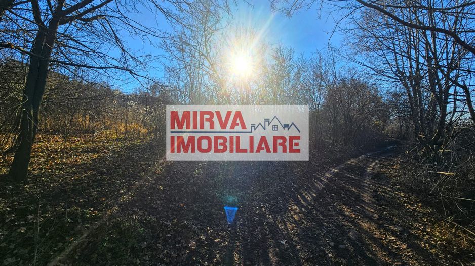 Teren intravilan 1.000 mp – Seciu, 2 deschideri, Priveliște panoramica - Poză 14