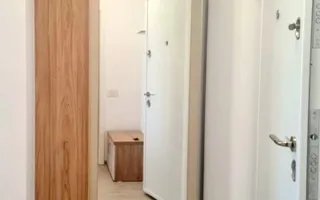 Apartament cu 2 camere, mobilat si utilat - Roka Residence, Micro 17 - Poză 11