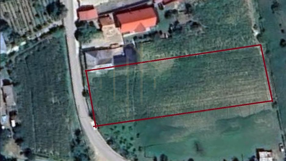 Teren intravilan/extravilan 2254 mp - Poză 1