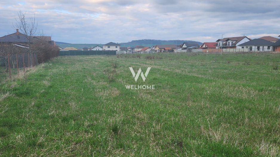 Teren generos intravilan constructii - Cristian - Sibiu - Poză 5