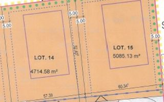 TEREN INTRAVILAN | OVIDIU | 4.500 MP | PUZ APROBAT HALE | 0% COMISION - Poză 1