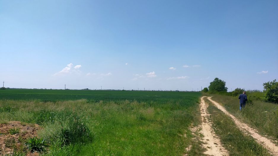 Teren extravilan agricol în Urseni - Poză 2