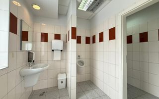 Spatiu de birouri I 186 mpu I Etajul 1 I Zona Sub arini - Poză 9