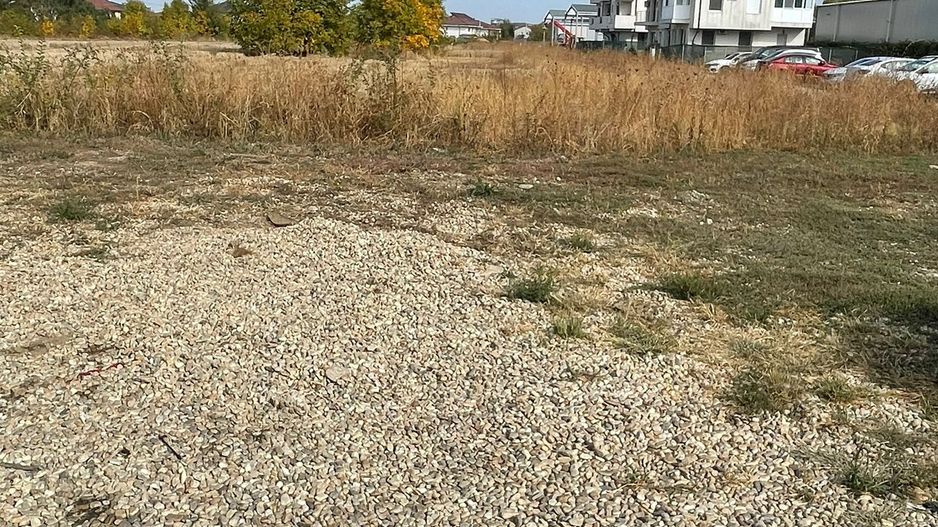 Teren 7714 mp Otopeni stradal - ideal investiție - Poză 1