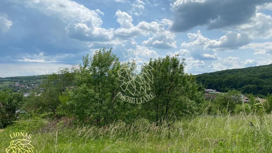 Teren intravilan 2800 mp cu utilitati-ideal case-Valea Ghinzii - Poză 8