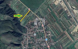Teren in zona Candesti BZ 6400mp cu deschidere 12m la DN10 Pret: 5 mp neg - Poză 3