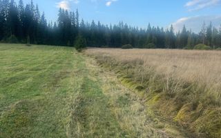 Teren intravilan  – Poiana Stampei 🌲 - Poză 1